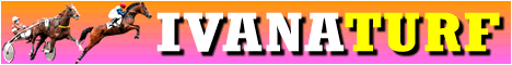 IVANATURF meilleurs site hippique reconnu dans pour ça meilleur performance et ça fiabilité sur les 
